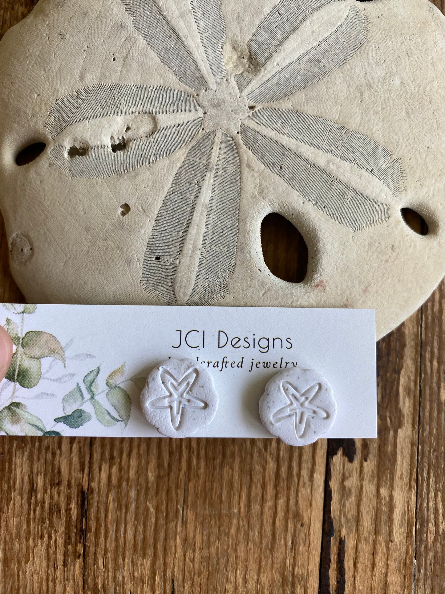Sand dollar studs